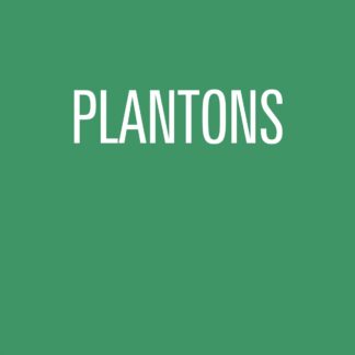 Plantons