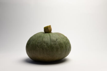 #453 - Hokkaido Vert