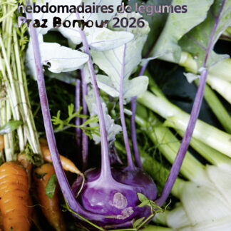Panier de légumes (abonnement 2026)