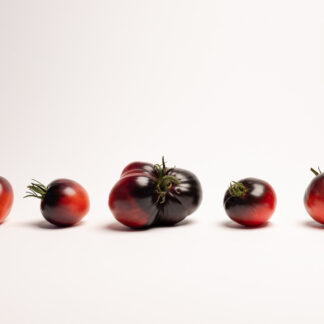 #153 - Sergent Pepper