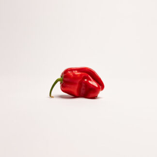 #206 - Habanero Tropical Red