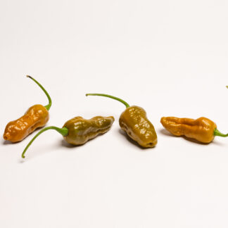 #208 - Habanero Mustard