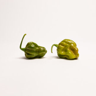 #209 - Habanero Green