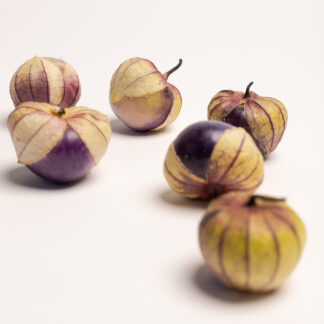 #390 - Tomatillo Purple