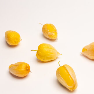 #393 - Tomatillo Queen of Malinalco