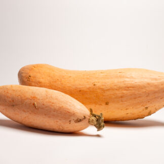 #482 - Jumbo Pink Banana