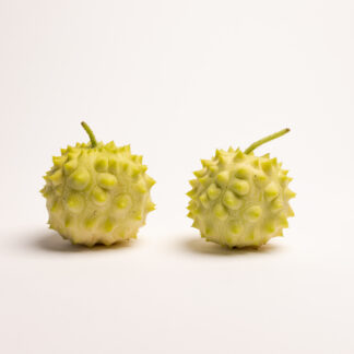 #503 - Kiwano